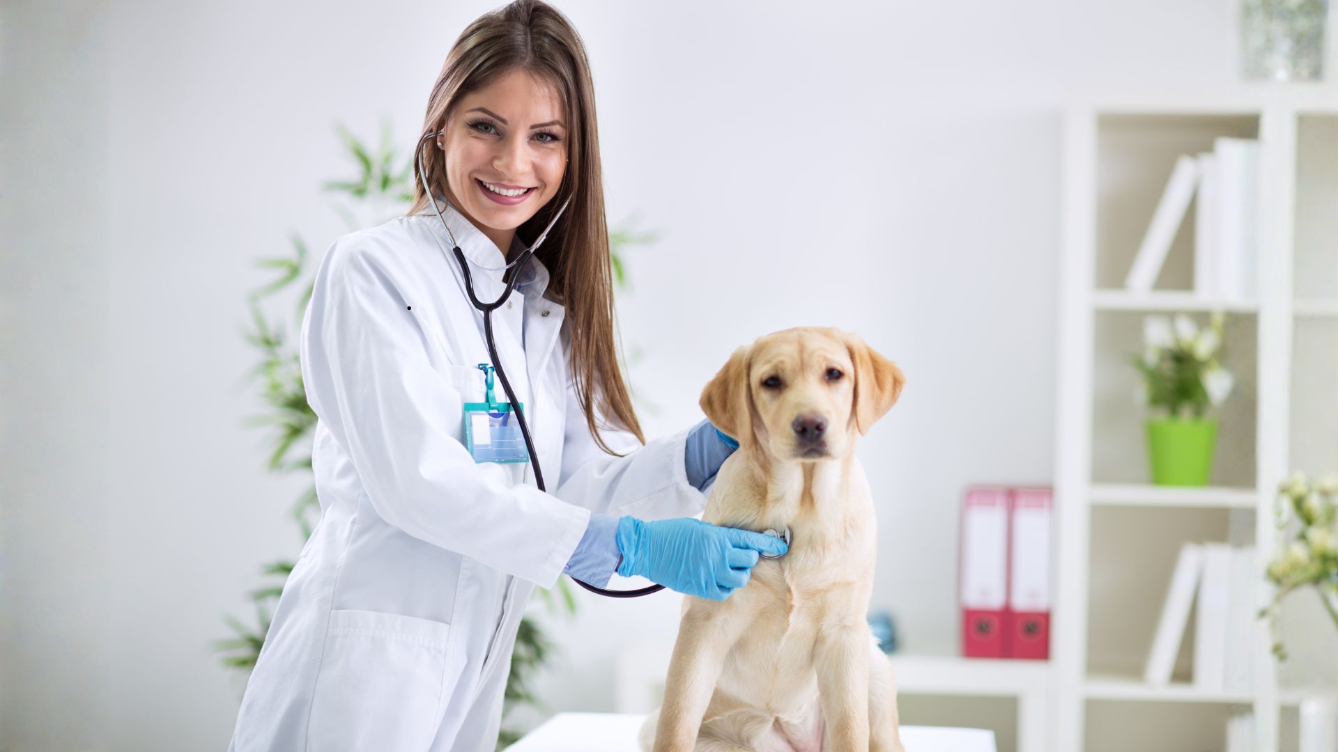 Veterinary Laboratory