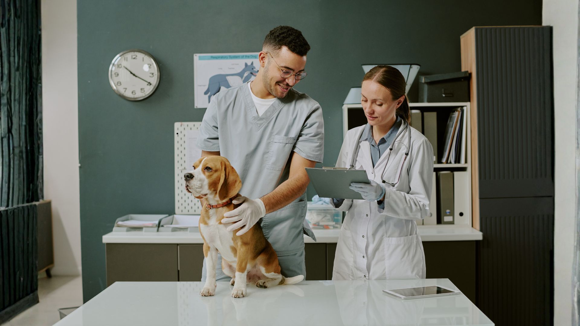Laboratory Support